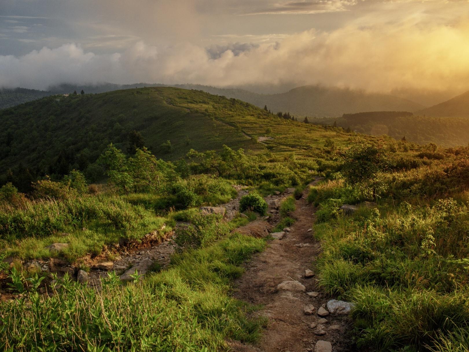 Black Balsam Knob