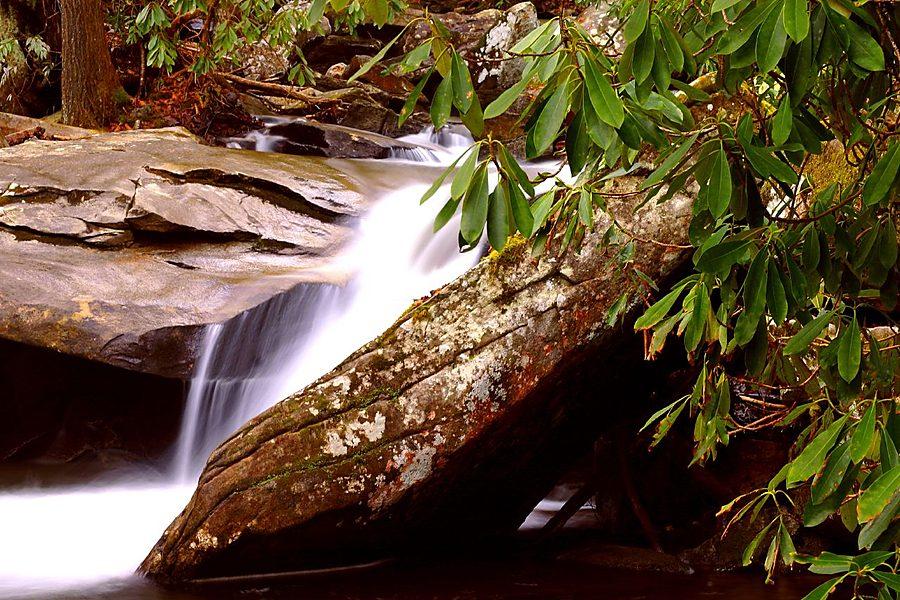 Davidson River — Catch & Release Section