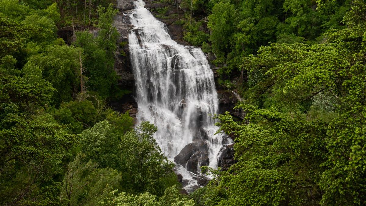 Whitewater Falls